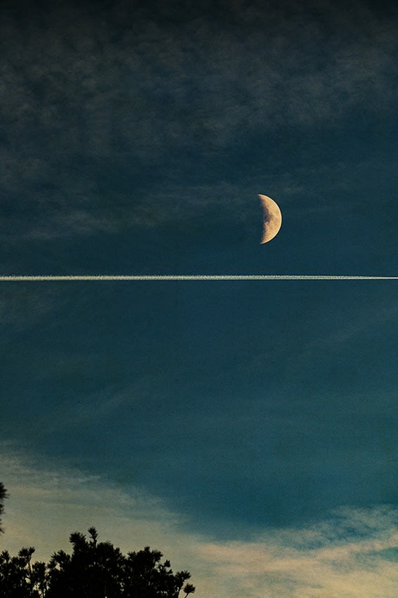 Albarrán Cabrera, The Mouth of Krishna #1010, 2023