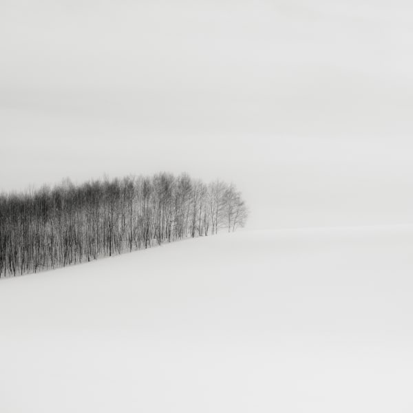 Jeffrey Conley, Trees and Hill, Japan, 2025