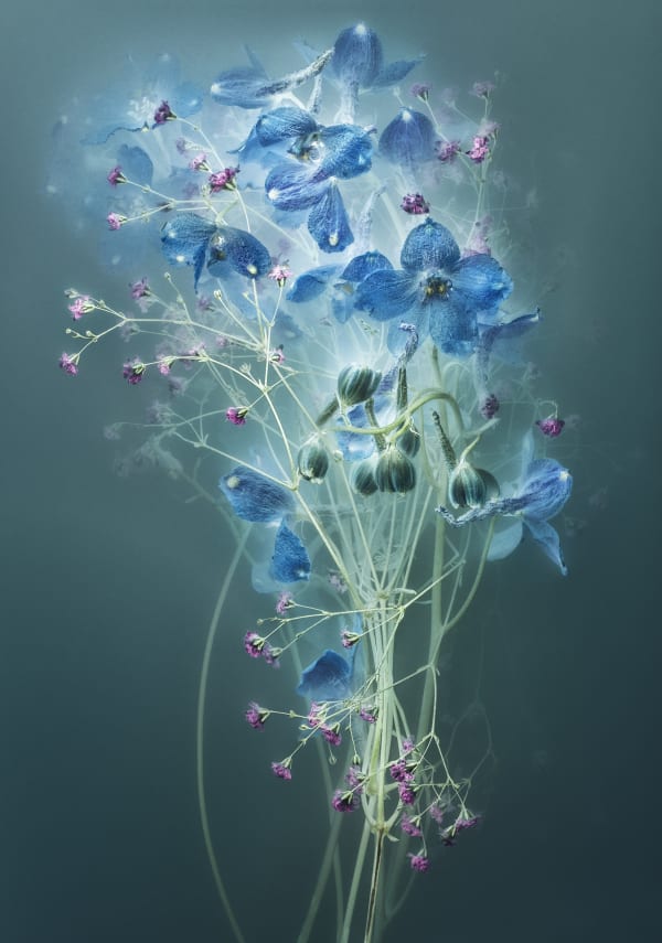 Danielle Kwaaitaal, Florilegium P2024/01, 2024