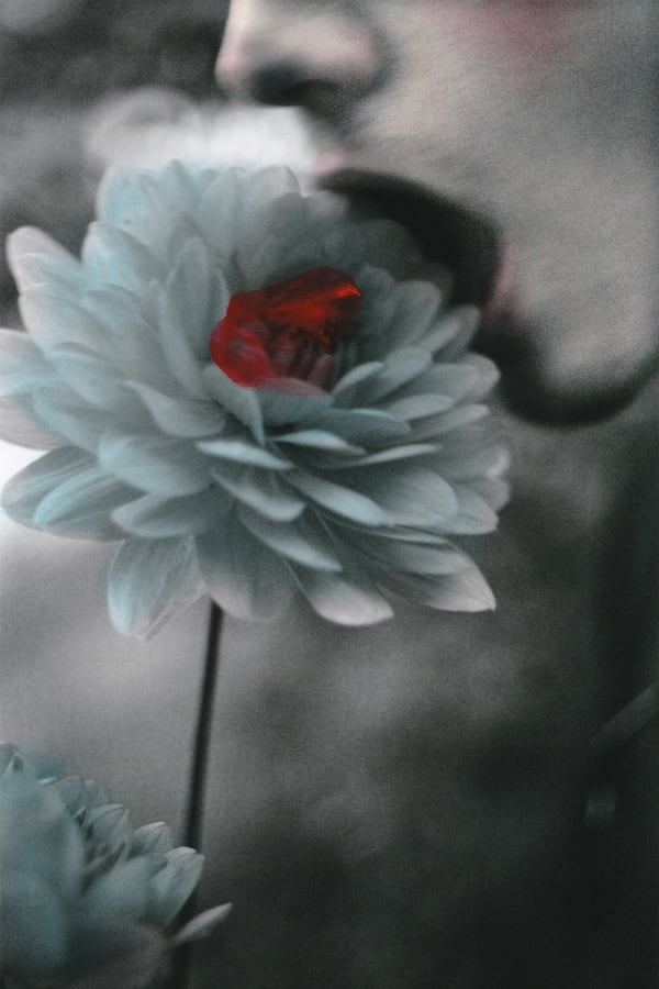 Eloïse Labarbe-Lafon - Xavier, Coeur de Causse, France, 2021