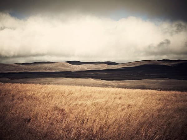 Sandro Diener, Herbstgräser, Iceland, 2010