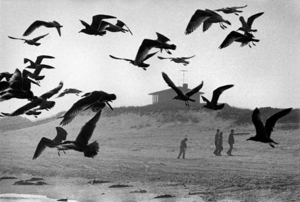 René Burri, Amagansett, Long Island, New York, USA, Vintage, 1966