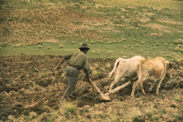 René Groebli, Peru 37, 1972