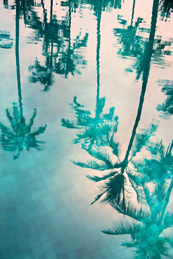 Philipp Keel, Palms in a Pool, 2017