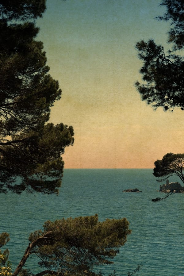 Albarrán Cabrera, The Mouth of Krishna #60920, 2025