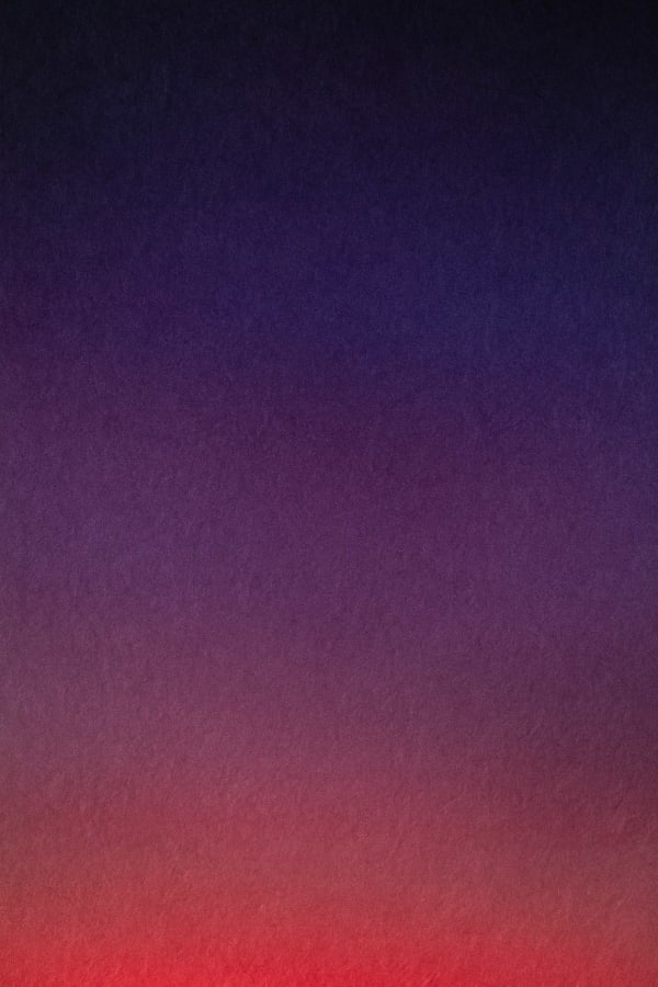 Onoko, Percept 2.19:04, France, 2019