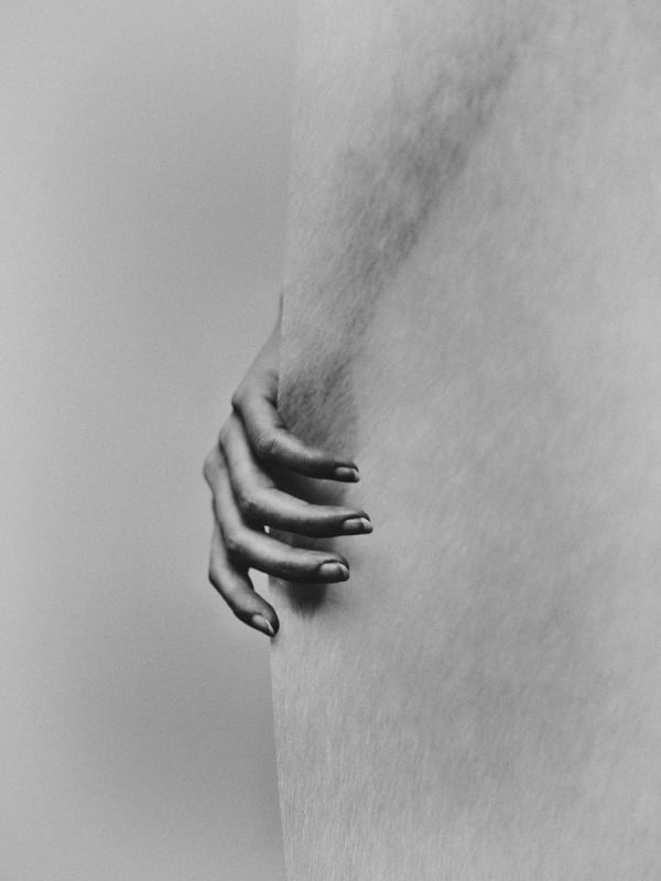 Bastiaan Woudt, Sasha's Hand, 2019