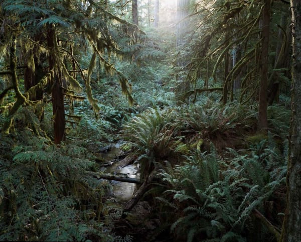 Bruno Augsburger - Sunshine Coast, British Columbia, 2013