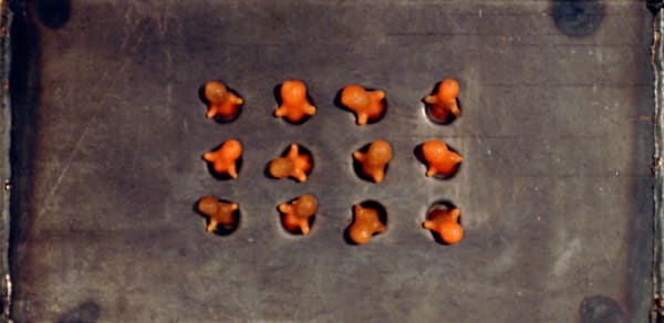 Jo Ann Jones, The Conversation