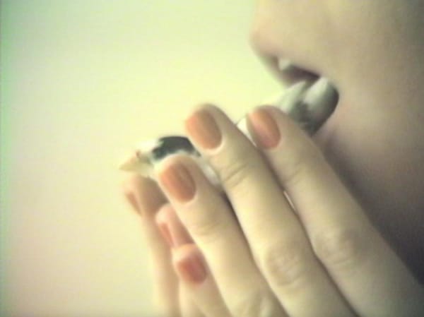 Erica Schreiner, The Tale of the Bravest Warrior, 2013