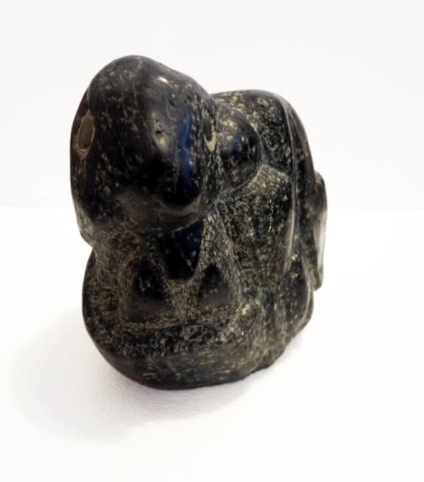 Sargent Johnson, Untitled (Turtle), 1955