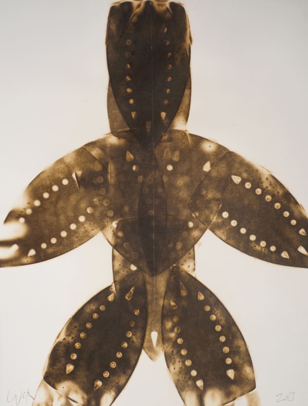 Willie Cole, Untitled, 2013