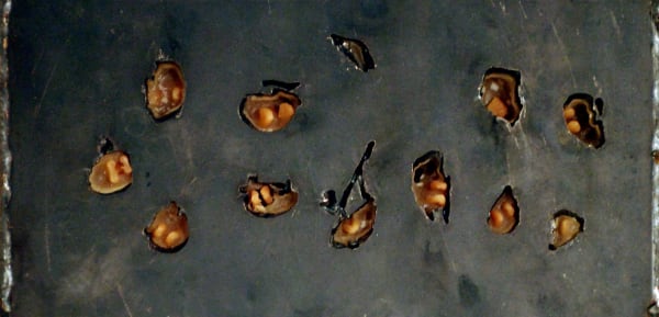 Jo Ann Jones, Intrusion