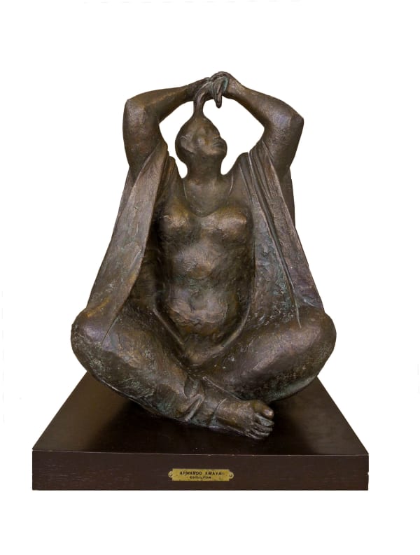 Armando Amaya, Mujer, 1980