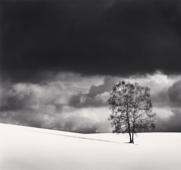 Michael Kenna, Shirakaba, Shinsei, Hokkaido, Japan, 2004