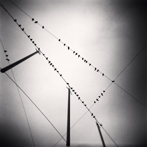 Michael Kenna, Fifty Two Birds, Zurich, Switzerland, 2008