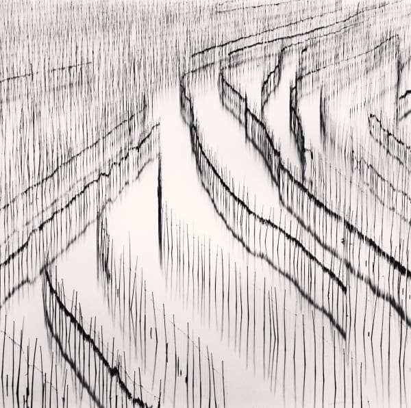 Michael Kenna, Seaweed Farms, Study 3, Xiapu, China, 2010