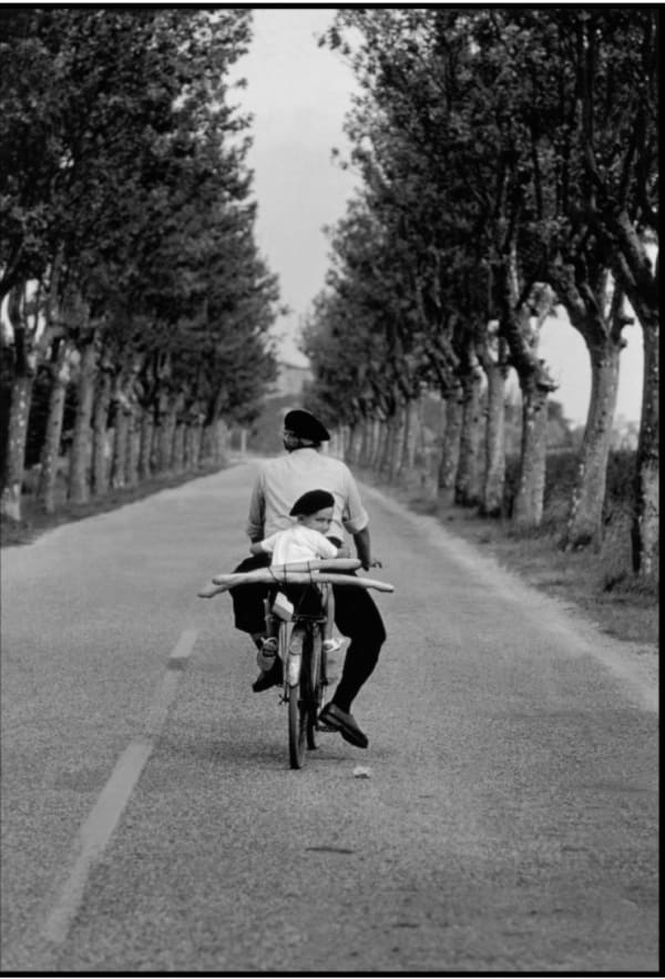 Elliott Erwitt, Provence, France, 1955