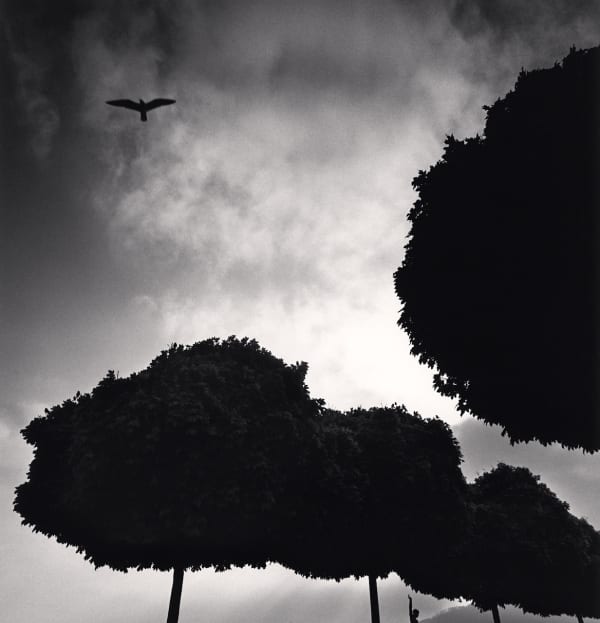 Michael Kenna, Following Directions, Zurich, Switzerland, 1993