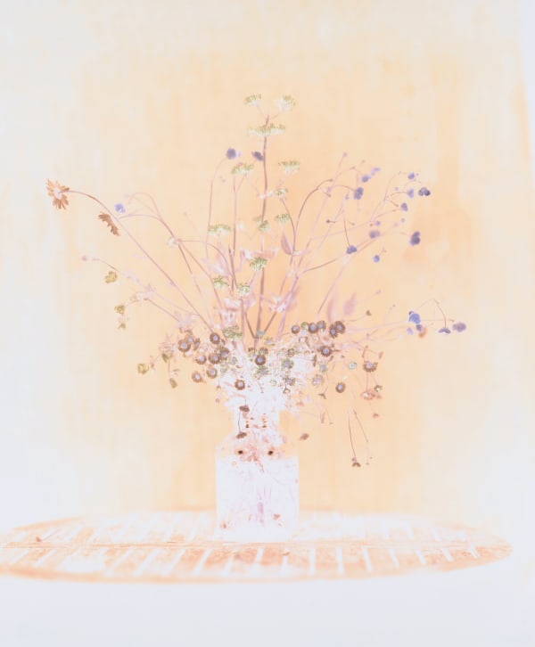Erigeron, Ox Eye Daisy, Meadow Buttercup, Meadow Grass, Red Valerian & Wild Geranium