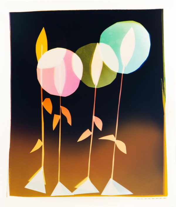 Family Portrait Plant