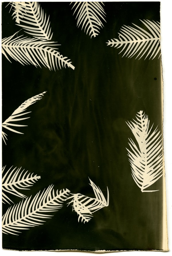 Palmograph #3