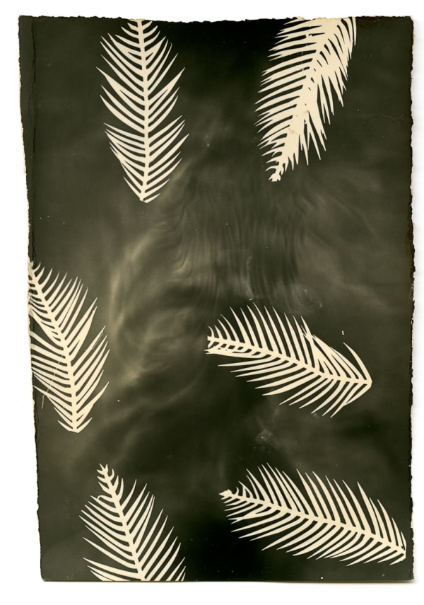 Palmograph #4