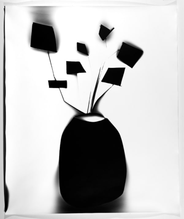 Designer Plant