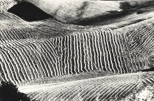 Metamorfosi della terra (Metamorphosis of the land)