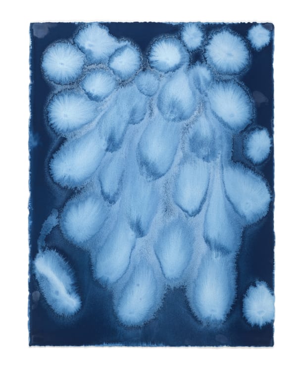 C-Blue #14