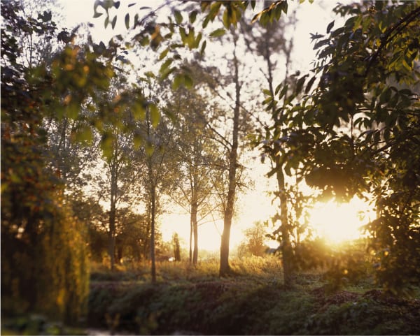 Steve Macleod - Approach, Vertical Flyer, 2009