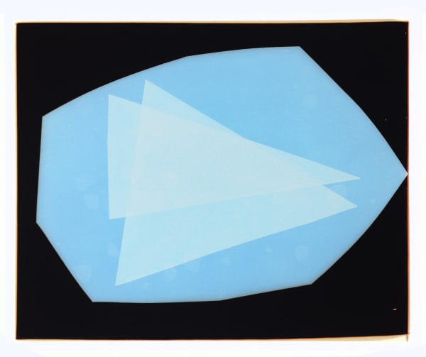 Liz Nielsen, Paper Airplanes, 2017