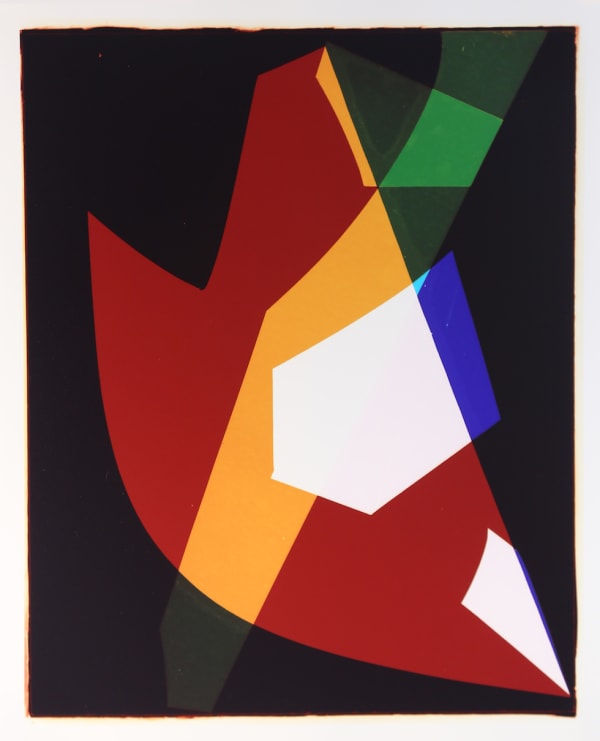 Liz Nielsen, Designer, 2017