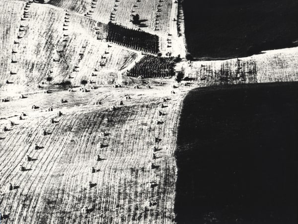 Metamorfosi della terra (Metamorphosis of the Earth)