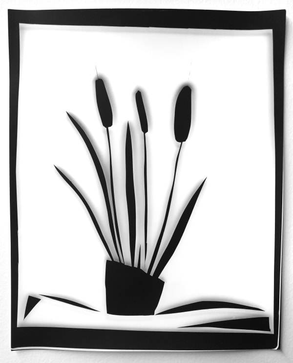 Cattail Plant
