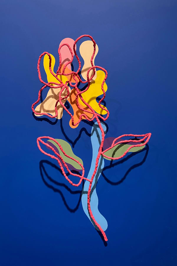 Double Drawing (aa)