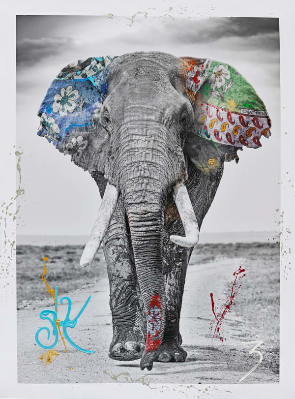 Arno Elias, Legend, 2021