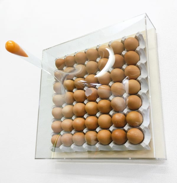Super Egg Pack