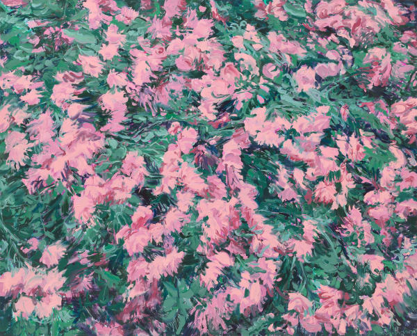 Rose 8