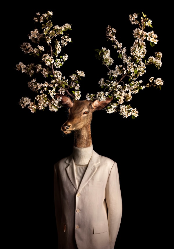 Ciervo en flor