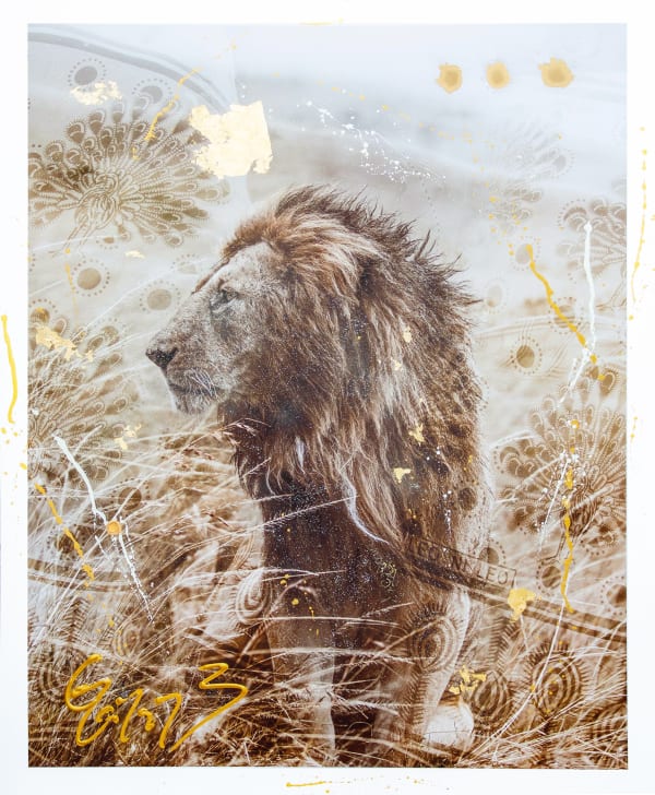 Arno Elias, Simba Gold