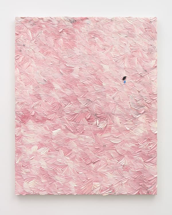 Dashiell Manley, with dull sounds, focus, 2023