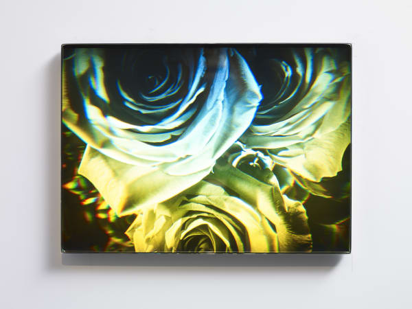 Sarah Meyohas, Interference #2, 2021