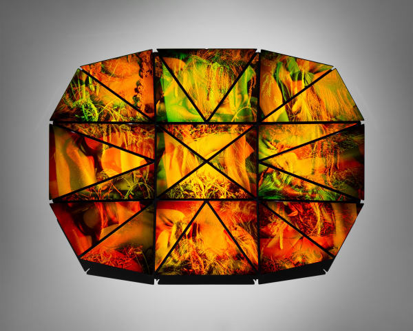 Sarah Meyohas, Interference #20, 2023