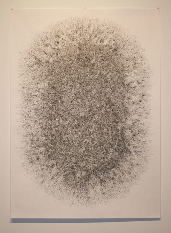 Apple Pie from Scratch