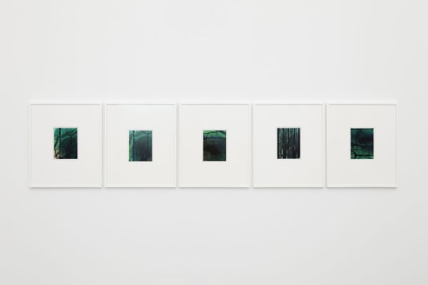 Anthony Pearson, Untitled (Hybrids, Suite of Five), 2009