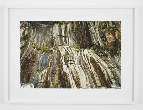 Thiago Rocha Pitta, Fossil Rain, 2004