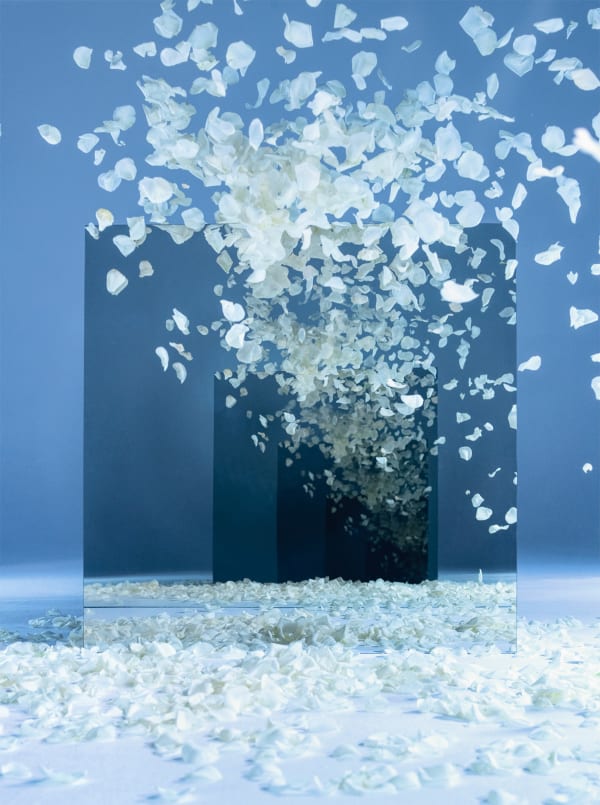 Sarah Meyohas, White Petal Speculation, 2021