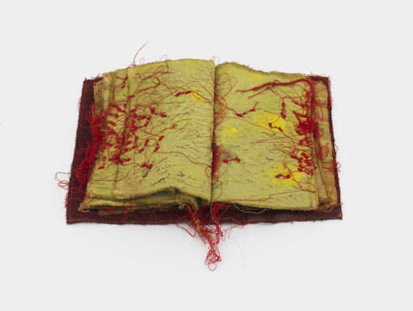 Maria Lai, Libro delle formiche, 1991-1992