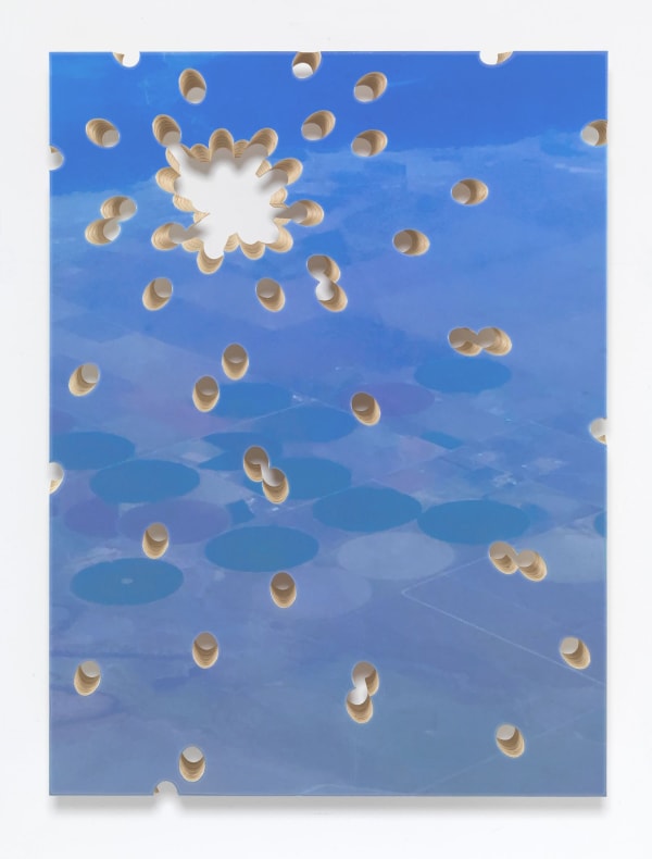 Lot 081816 (fallow fields shot)